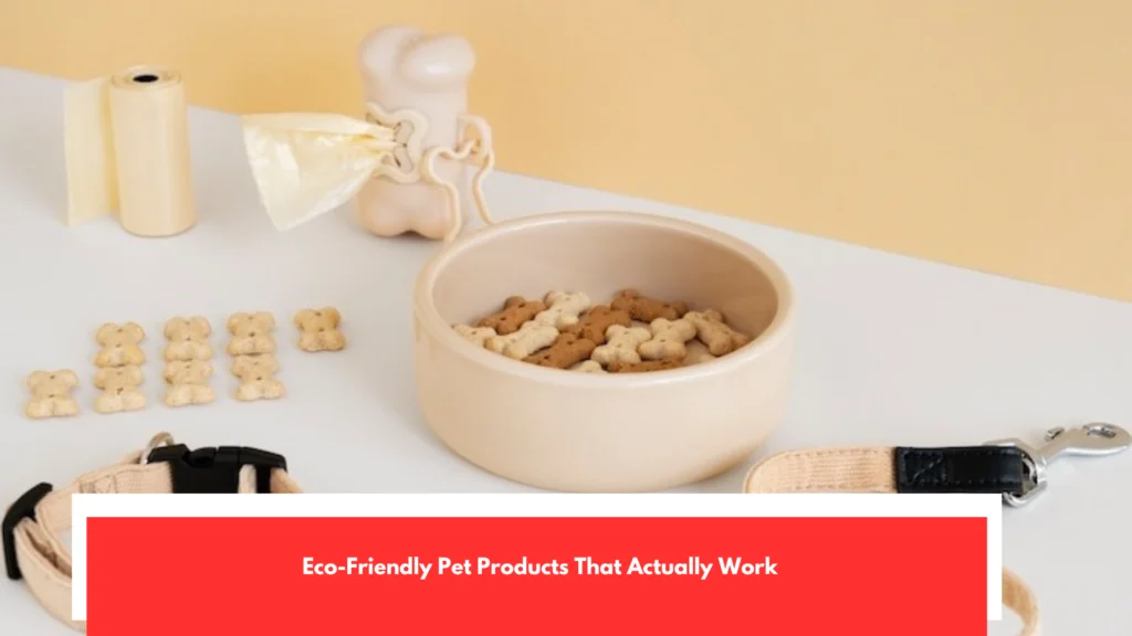 Eco-Friendly Pet Products That Actually Work