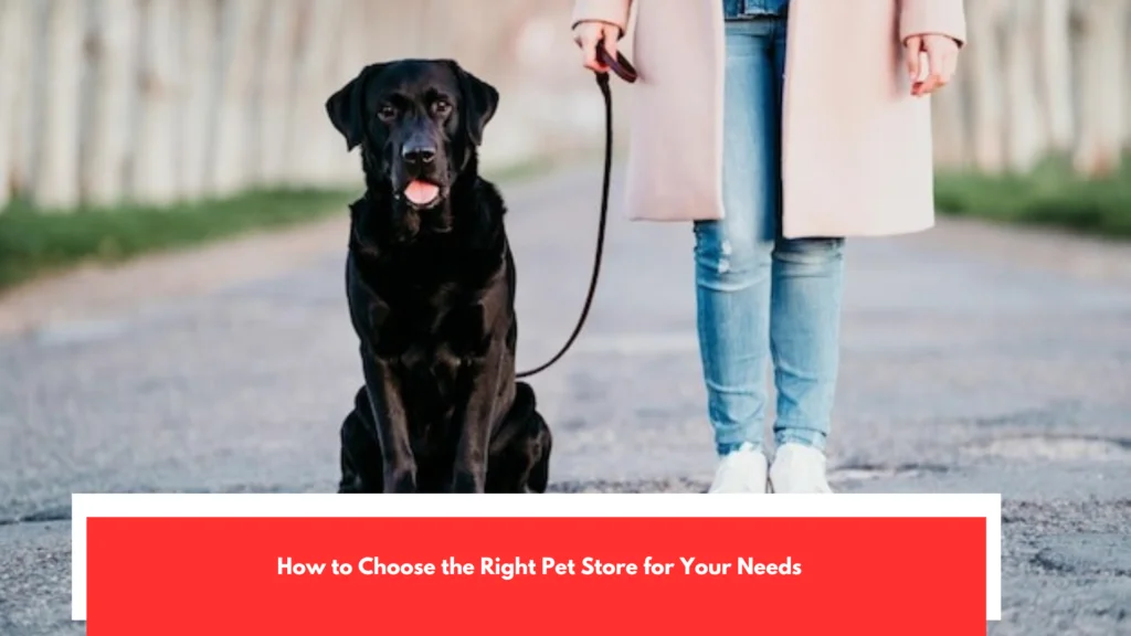 How to Choose the Right Pet Store for Your Needs