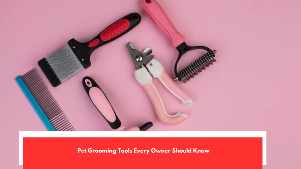 Pet Grooming Tools Every Owner Should Know