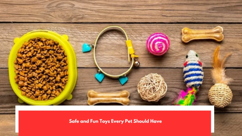 Safe and Fun Toys Every Pet Should Have