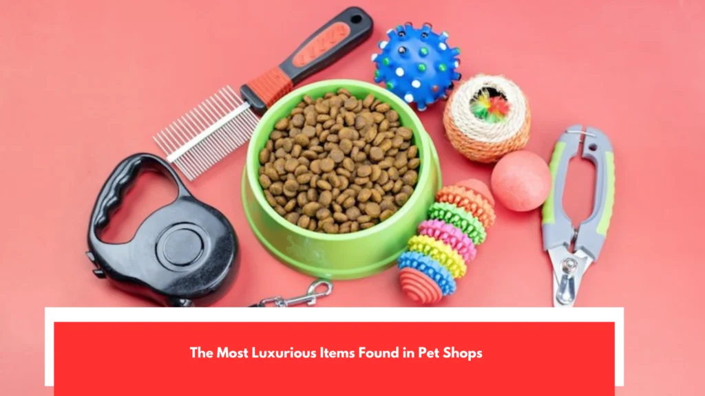 The Most Luxurious Items Found in Pet Shops