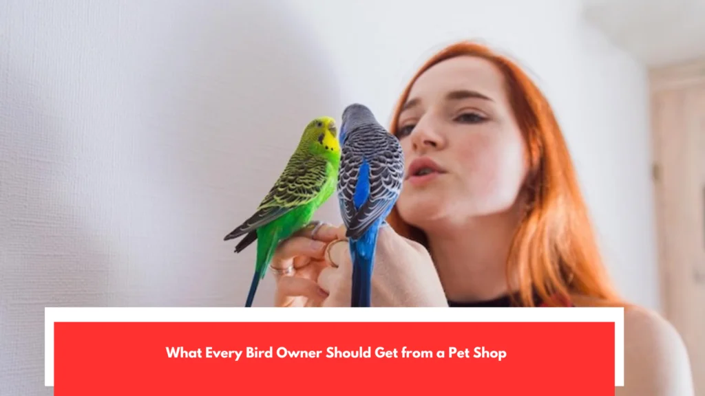 What Every Bird Owner Should Get from a Pet Shop